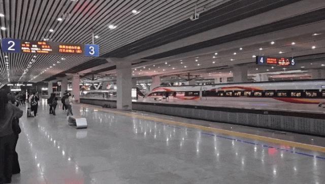 高铁被拖行”通报：手指夹伤已送医！j9国际站强行上车！广州“旅客扒(图2)